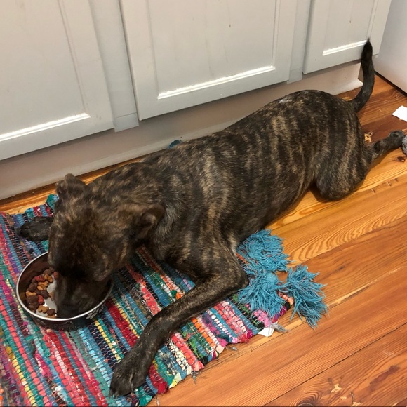 πΈπ½ - Picture 8 of 12